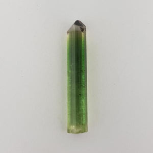 15.32ct Tourmaline Crystal 37x6.5mm - Dynagem 